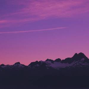 易炼红儿子九公子
